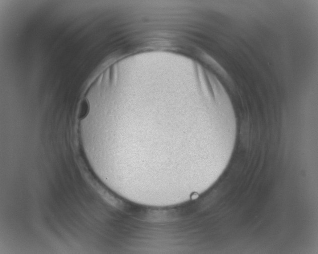 X0000081351378200702082243