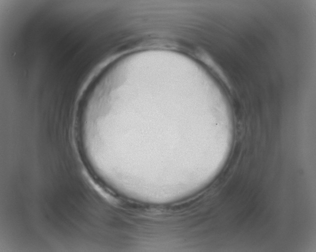 X0000081351379200702082243