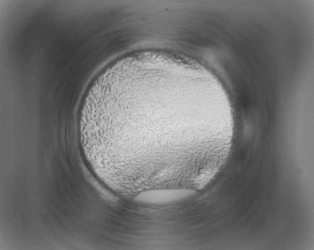 X0000081351380200702082243