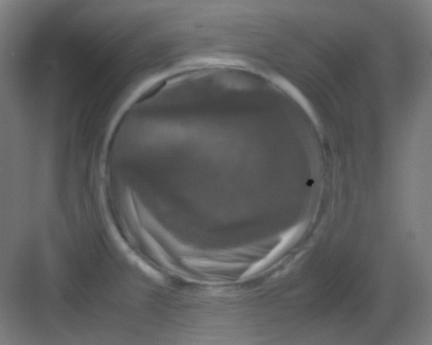 X0000081351381200702082243