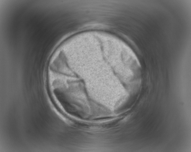 X0000081351383200702082243