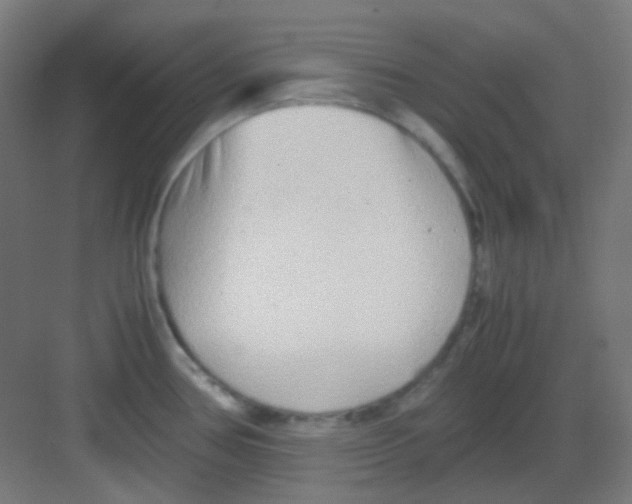 X0000081351386200702082243