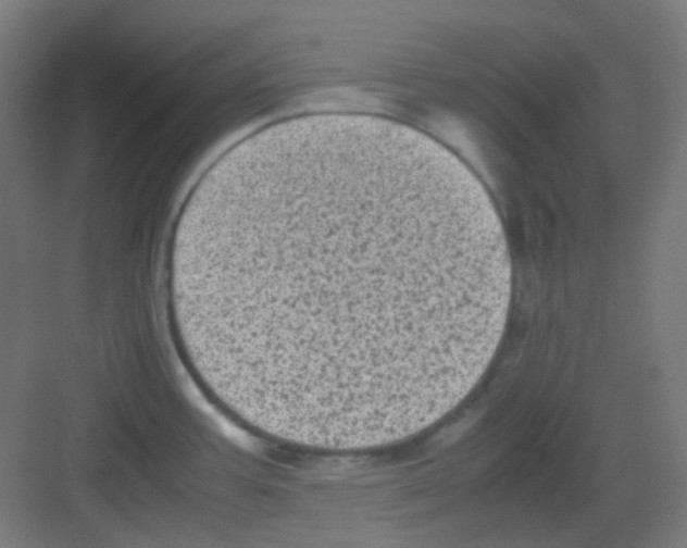 X0000081351387200702082243