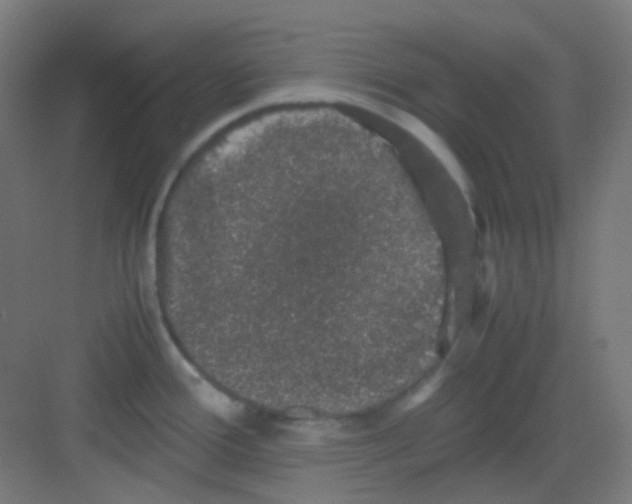 X0000081351388200702082243