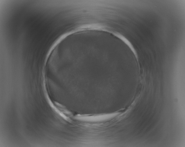 X0000081351389200702082243