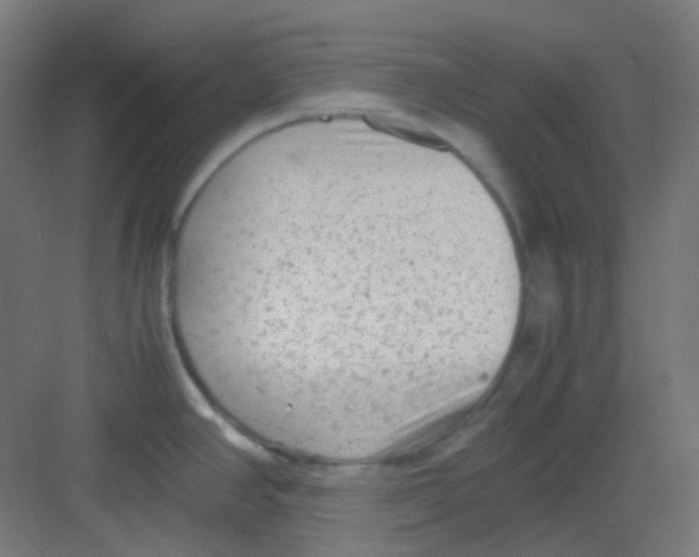 X0000081351390200702082243