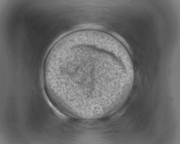 X0000081351391200702082243