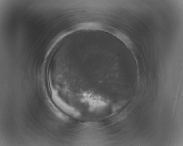 X0000081351392200702082243