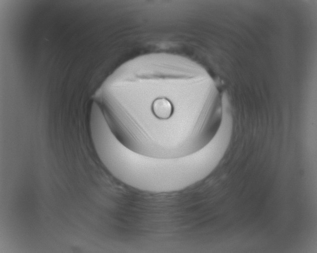 X0000081351393200702082242