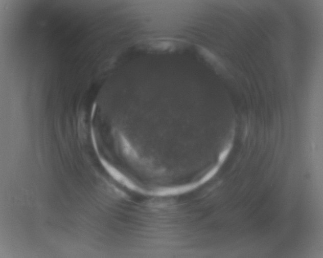 X0000081351394200702082242