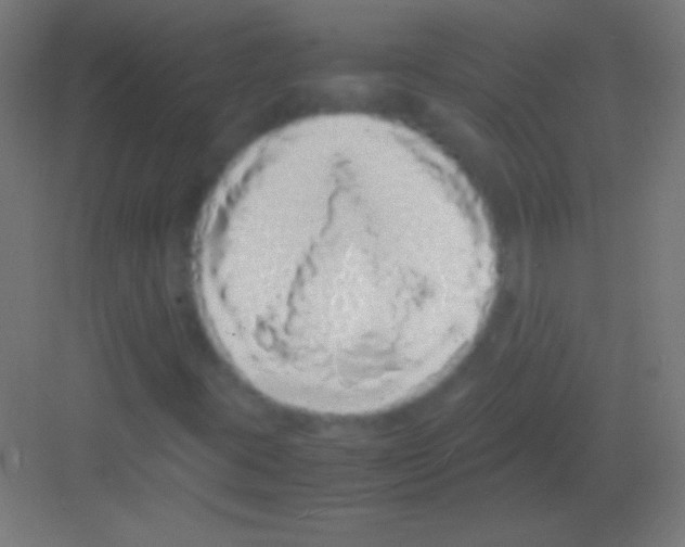 X0000081351395200702082242