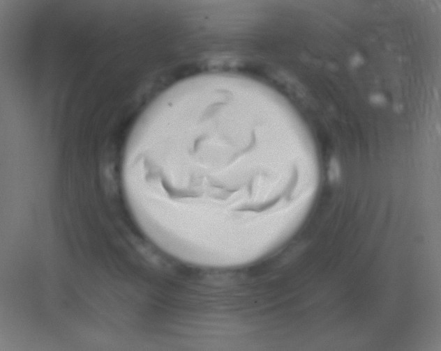 X0000081351396200702082242