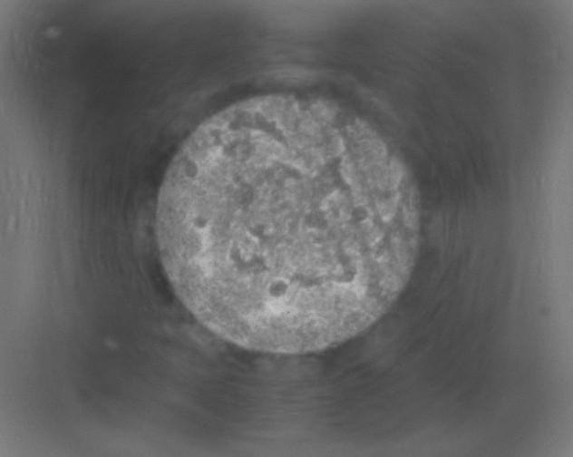 X0000081351397200702082242