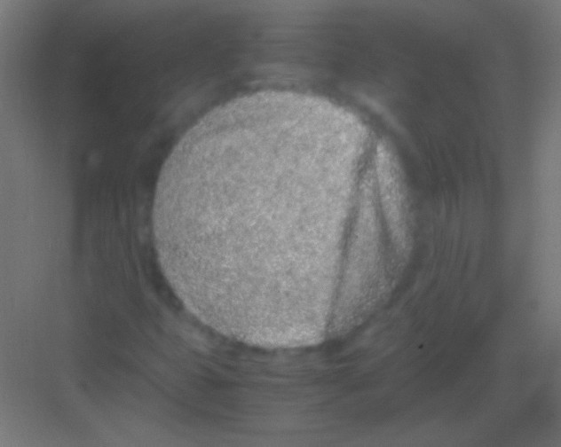 X0000081351399200702082242