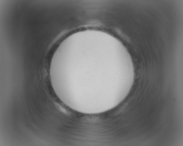 X0000081351400200702082242