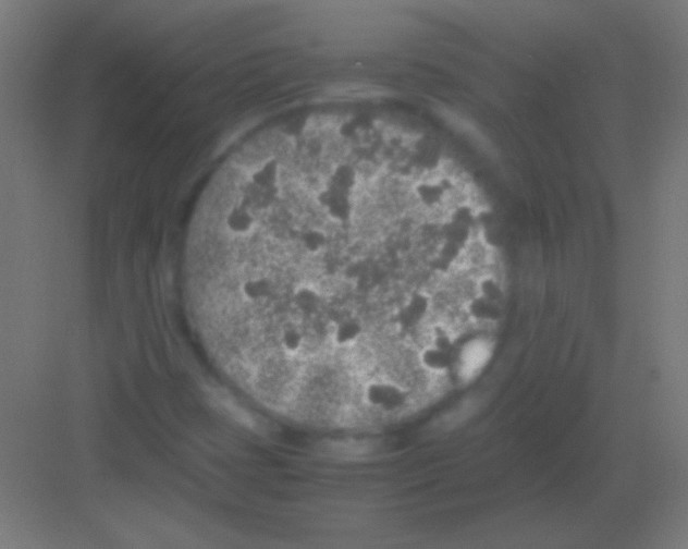 X0000081351401200702082242