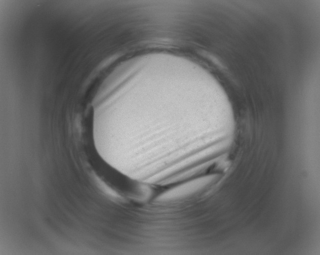 X0000081351402200702082242