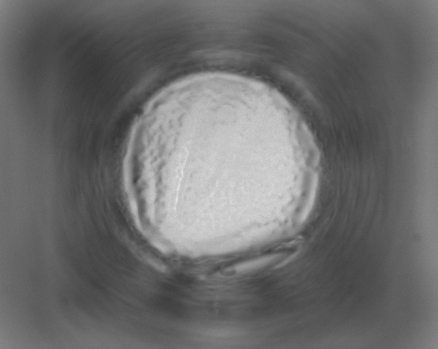 X0000081351403200702082242