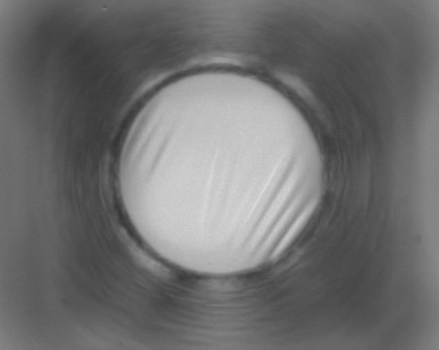 X0000081351404200702082242