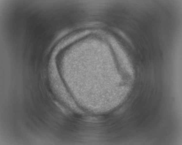 X0000081351405200702082242