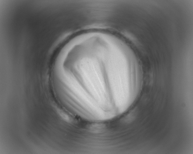 X0000081351406200702082242