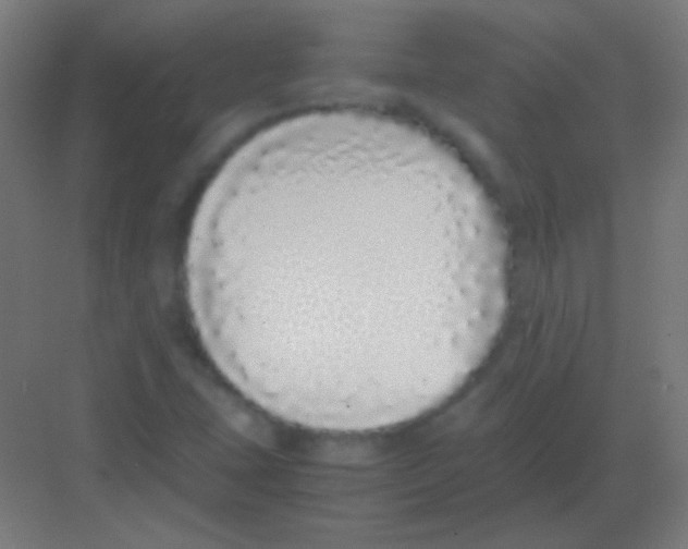 X0000081351407200702082242