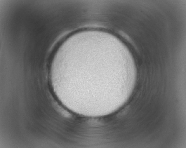 X0000081351408200702082242