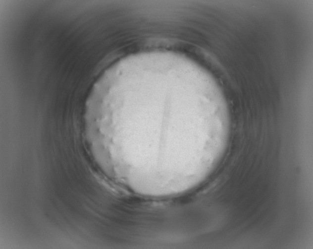 X0000081351409200702082242