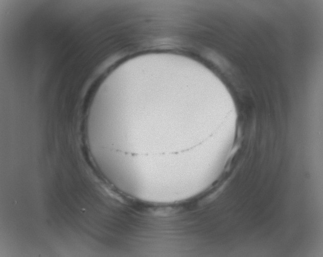 X0000081351410200702082242