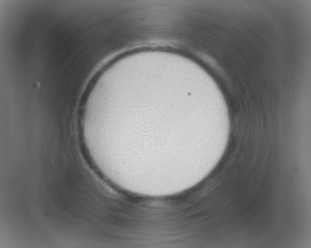 X0000081351412200702082243