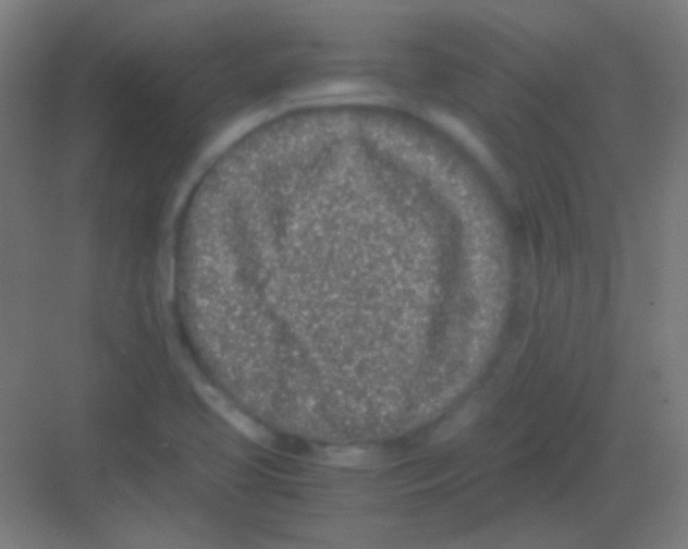 X0000081351413200702082243