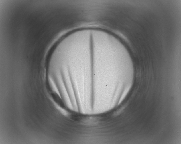 X0000081351414200702082243