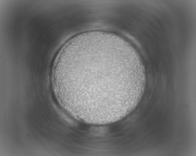 X0000081351415200702082243