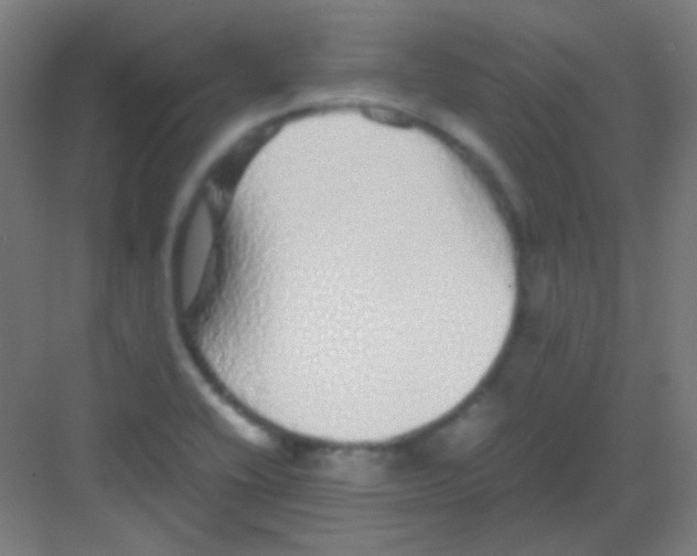 X0000081351416200702082243