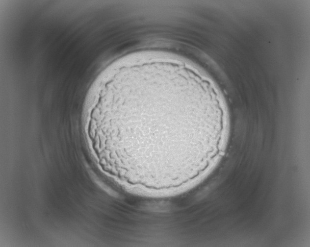 X0000081351417200702082243