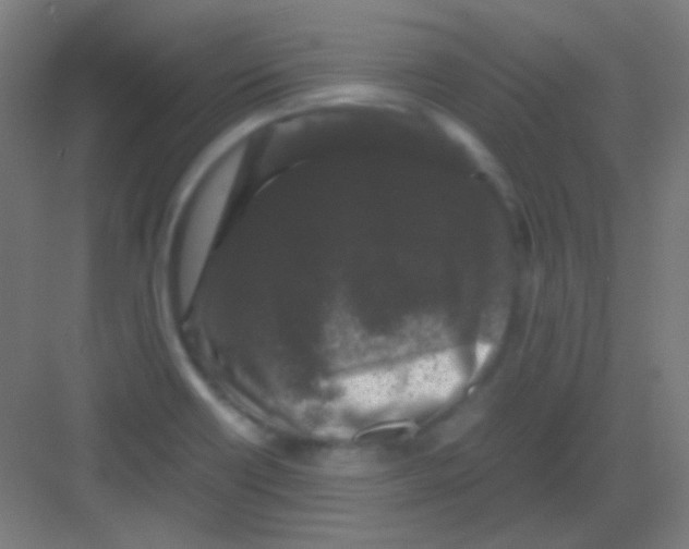 X0000081351418200702082243