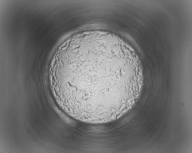 X0000081351421200702082243