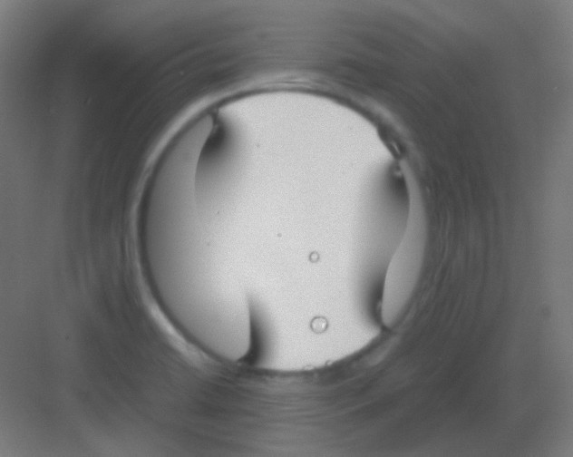 X0000081351422200702082243