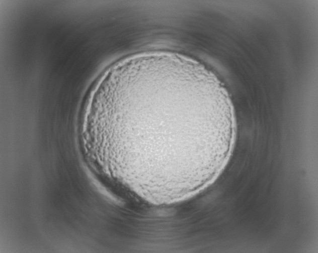 X0000081351423200702082243