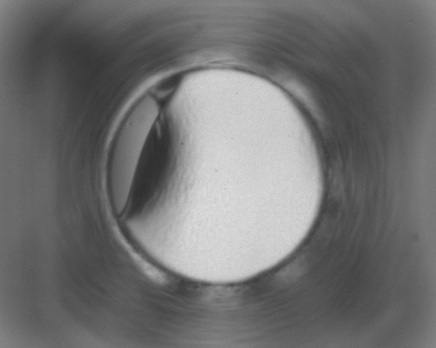 X0000081351424200702082243