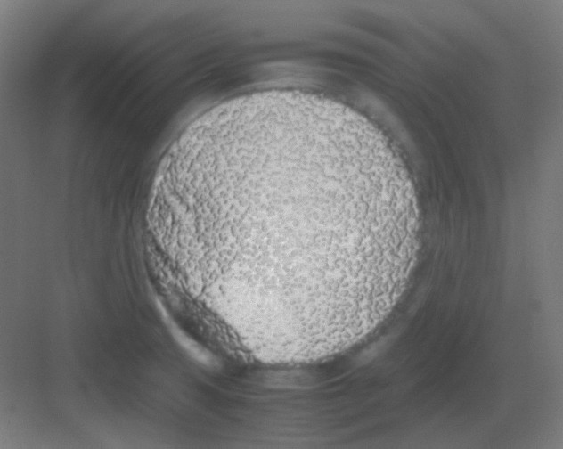 X0000081351425200702082243