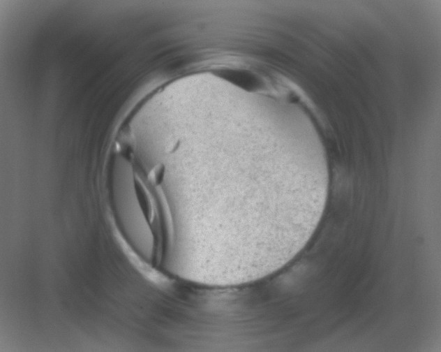 X0000081351426200702082243