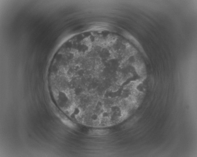 X0000081351427200702082243