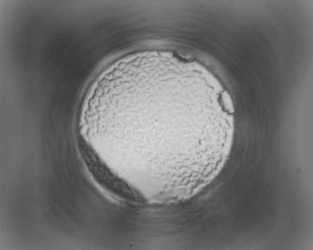 X0000081351429200702082243