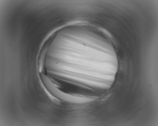 X0000081351430200702082243