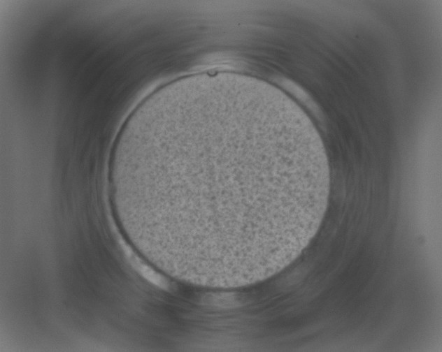 X0000081351431200702082243