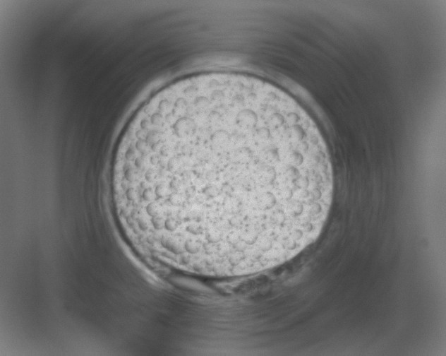 X0000081351432200702082243