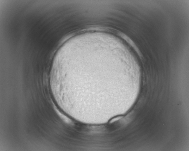 X0000081351433200702082243