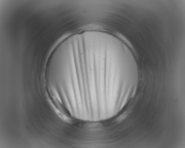 X0000081351434200702082243