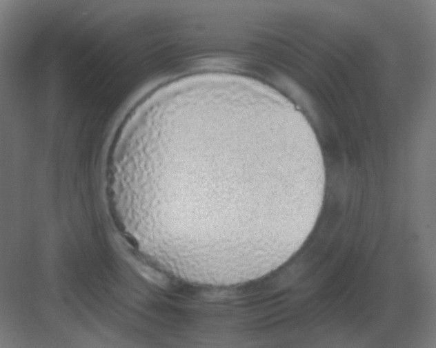 X0000081351435200702082243